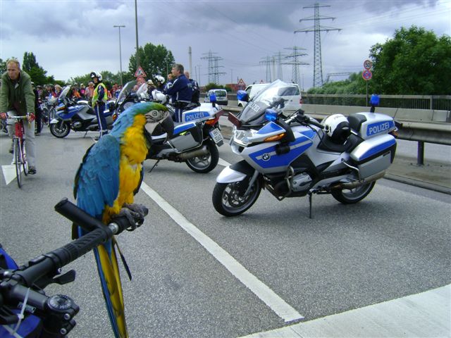 Fahrradsternfahrt Hamburg Vogel-Klaus 2115